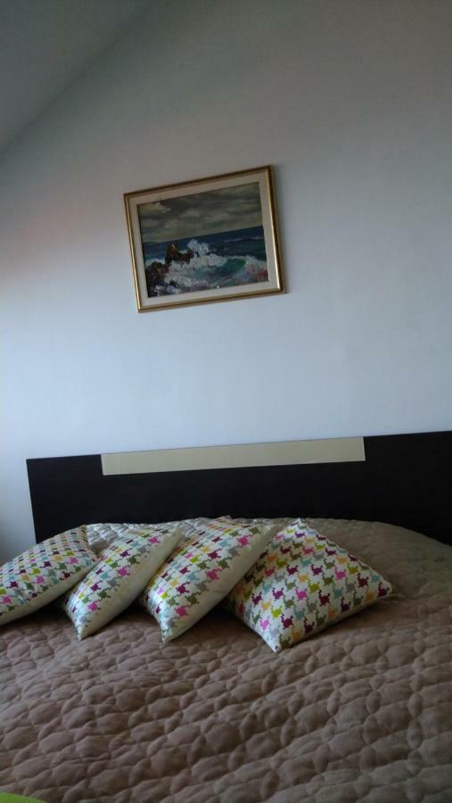 Green Studio Chamkoriya Borovets Extérieur photo